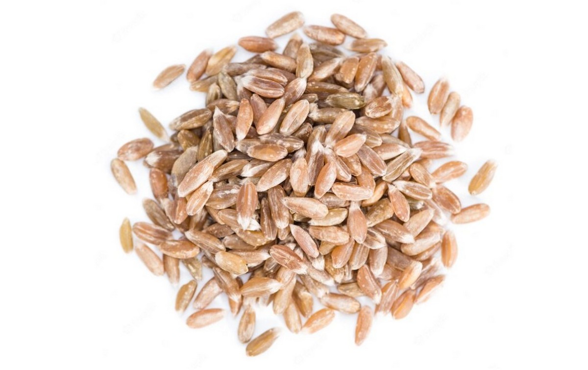 Farro: tutto sul cereale più antico al mondo