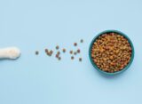 I migliori alimenti per cani e gatti in base all'età e alle necessità nutrizionali