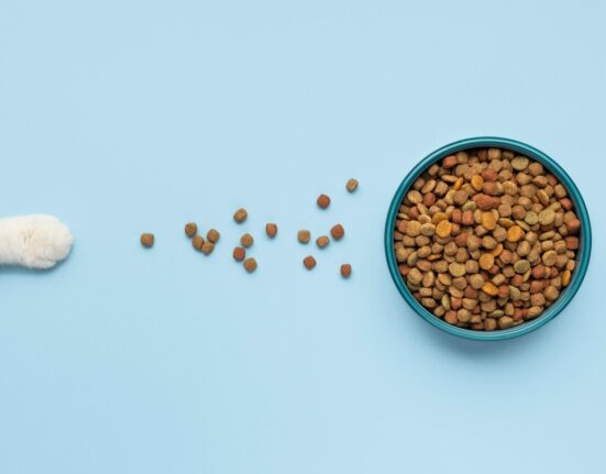 I migliori alimenti per cani e gatti in base all'età e alle necessità nutrizionali