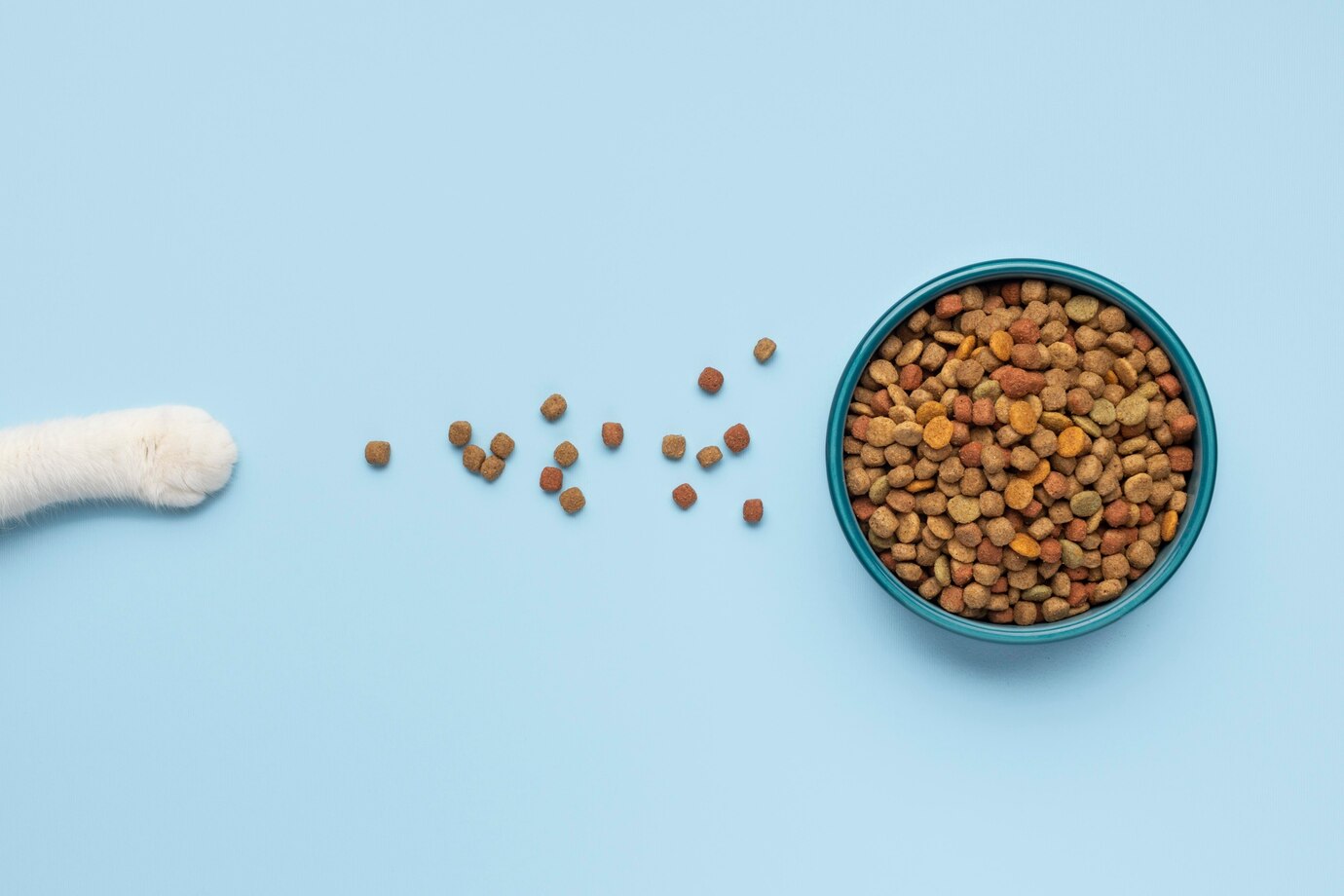 I migliori alimenti per cani e gatti in base all'età e alle necessità nutrizionali