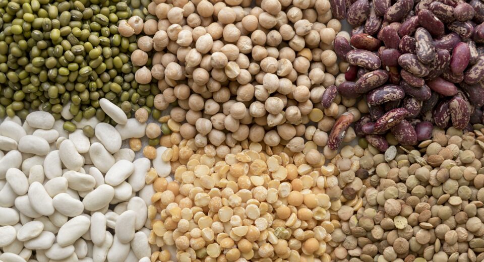 Il potere dei legumi: piatti veloci e nutrienti con i legumi