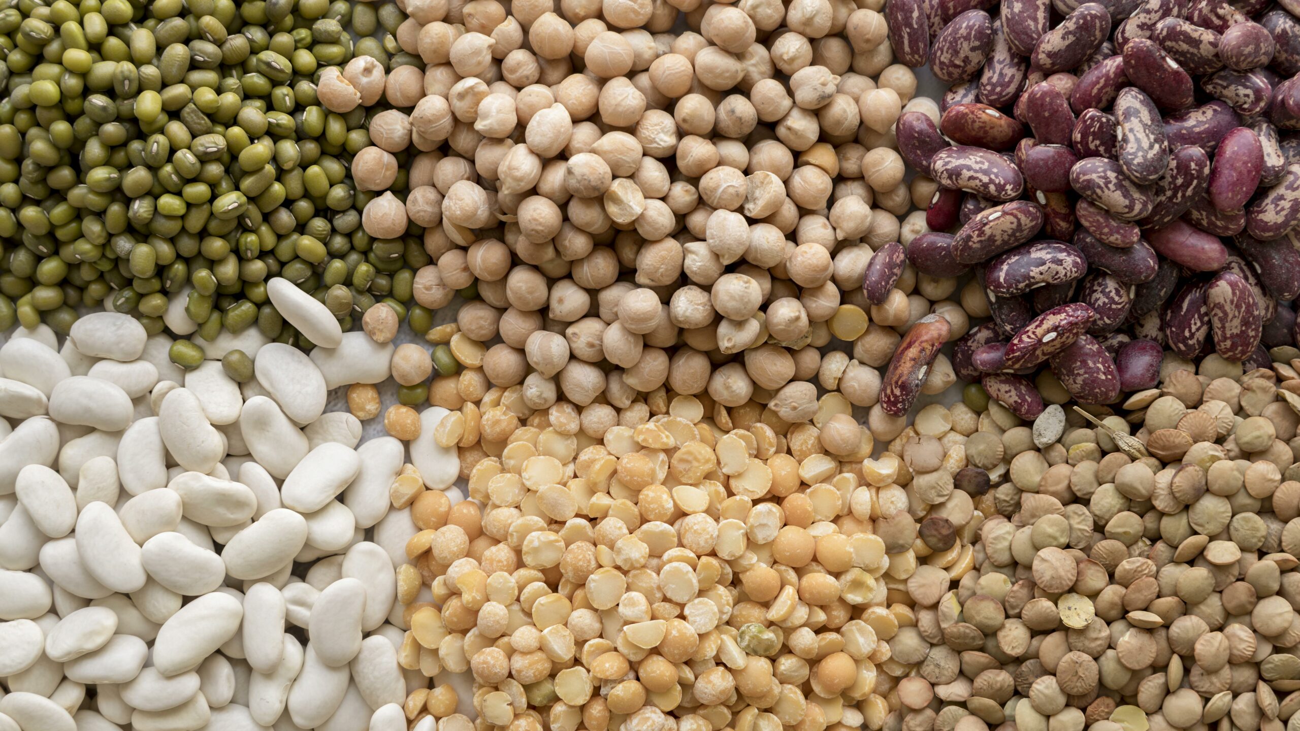 Il potere dei legumi: piatti veloci e nutrienti con i legumi