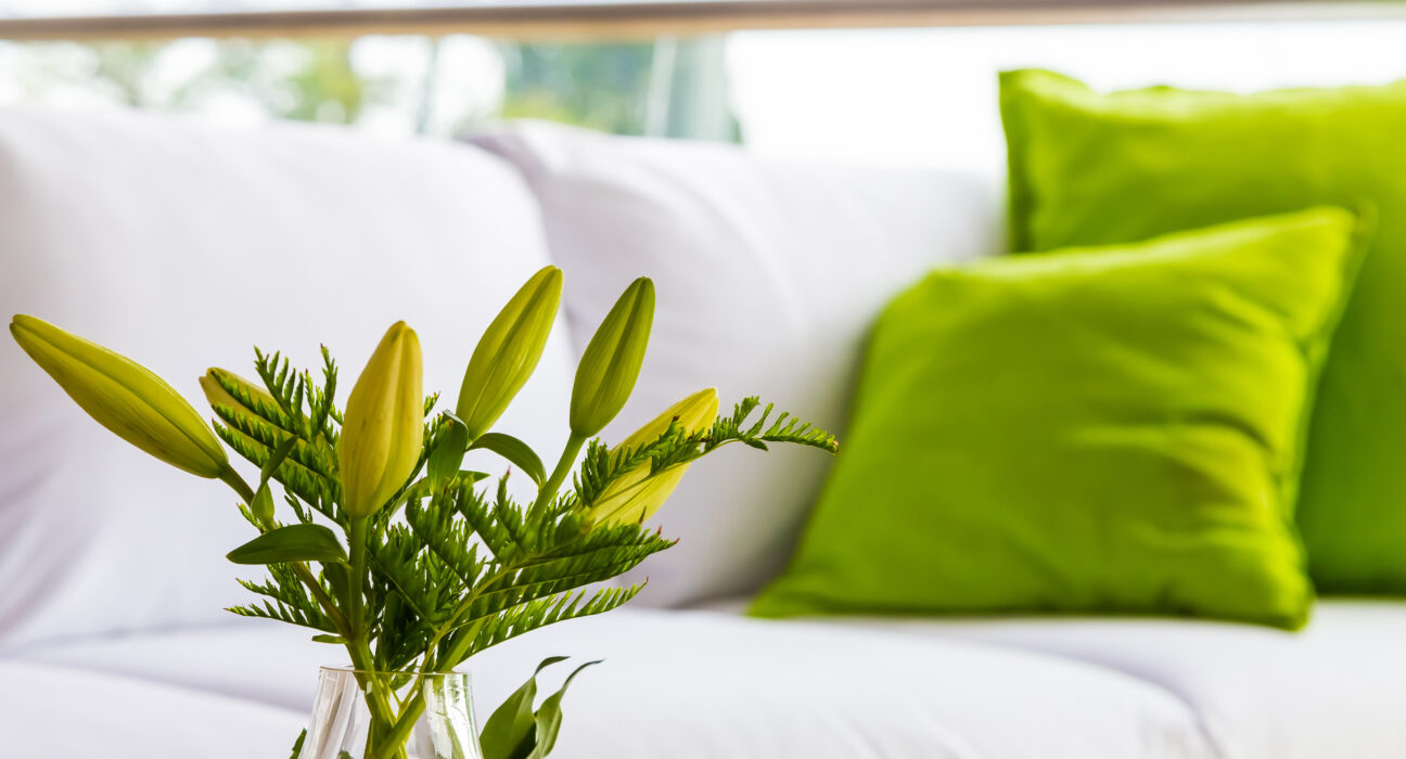 Eliminare odori in casa: soluzioni efficaci e consigli
