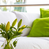 Eliminare odori in casa: soluzioni efficaci e consigli