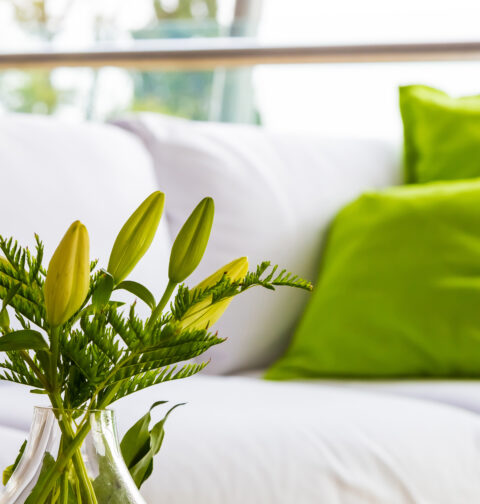 Eliminare odori in casa: soluzioni efficaci e consigli