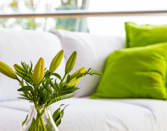 Eliminare odori in casa: soluzioni efficaci e consigli