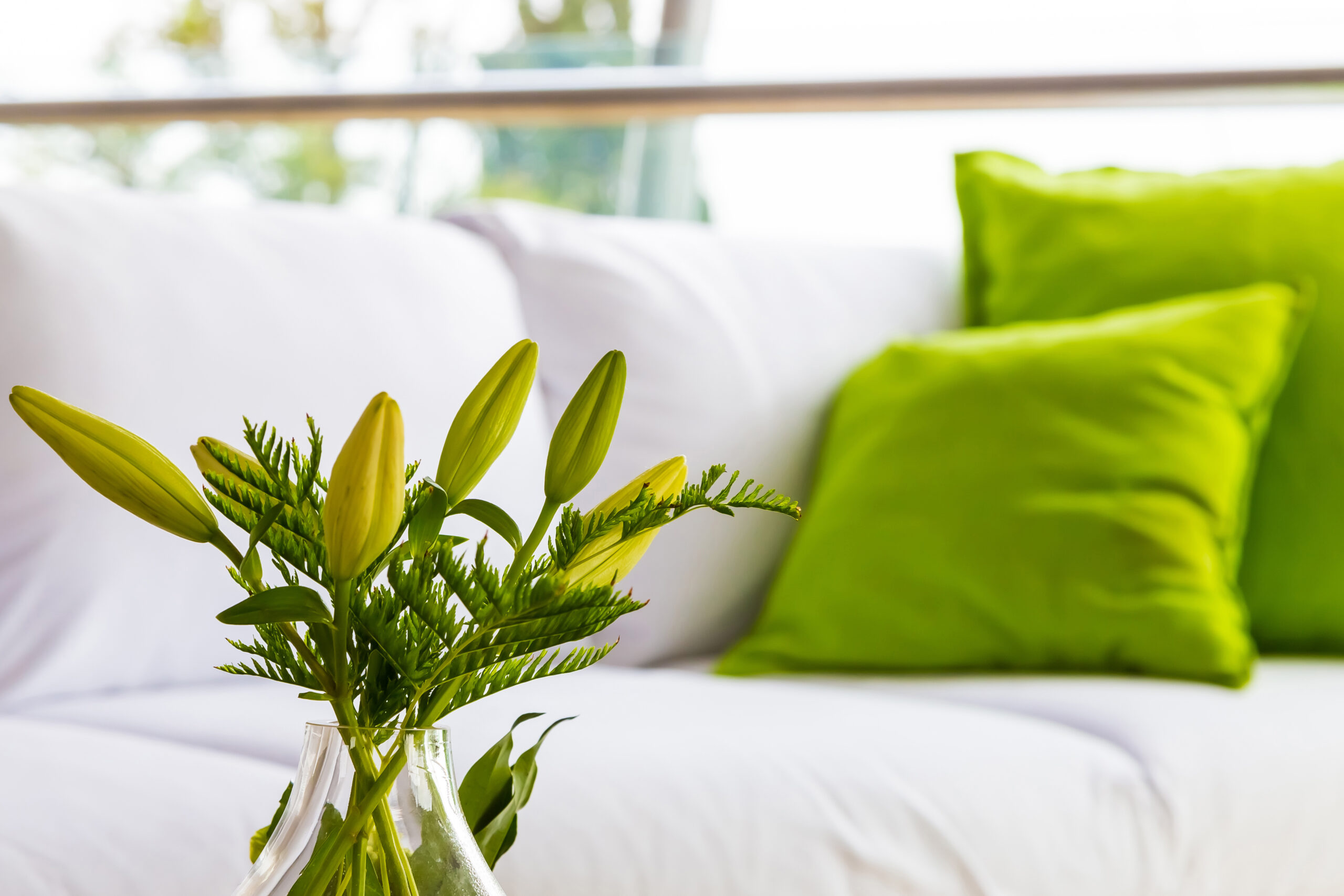Eliminare odori in casa: soluzioni efficaci e consigli