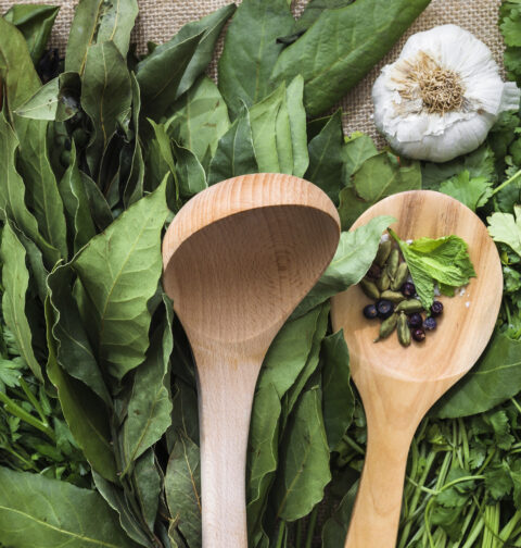 Come utilizzare le erbe aromatiche: i nostri consigli per una cucina profumata e saporita