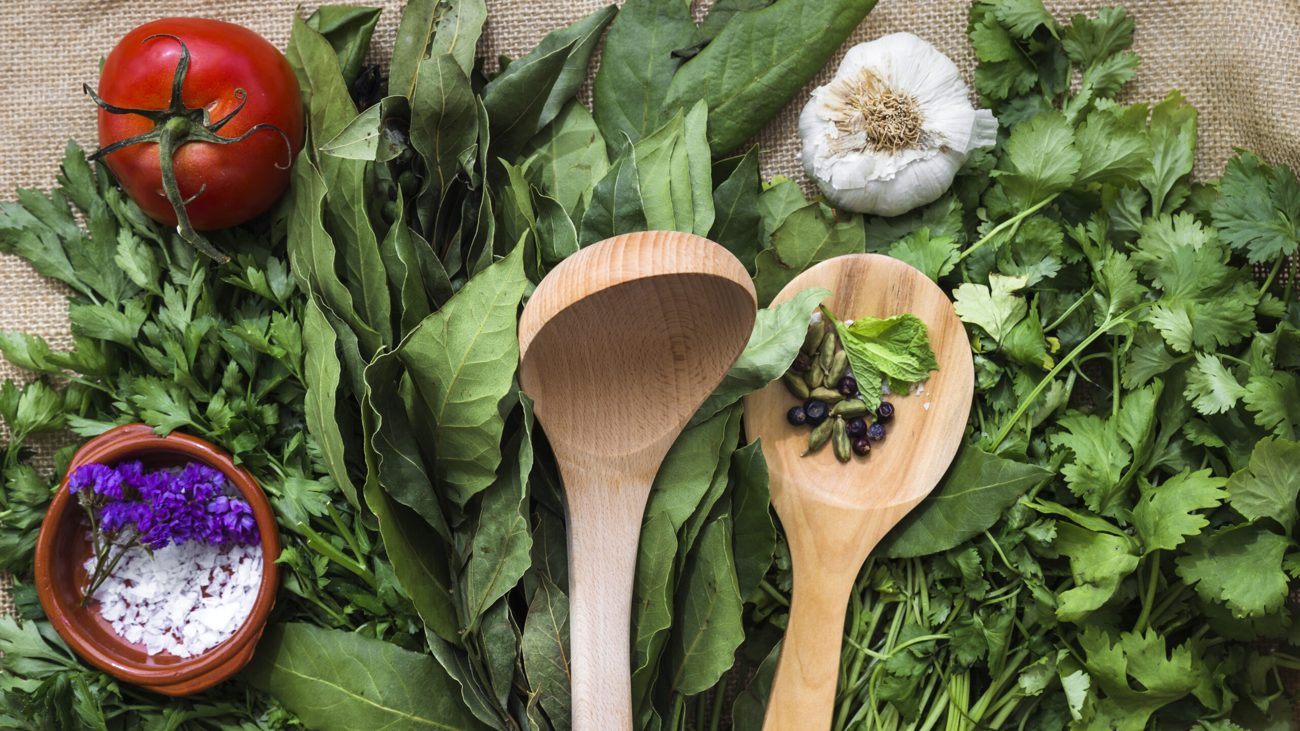 Come utilizzare le erbe aromatiche: i nostri consigli per una cucina profumata e saporita