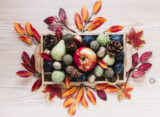 Frutti d’autunno in cucina: pulizia e conservazione di frutta e verdura