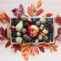 Frutti d’autunno in cucina: pulizia e conservazione di frutta e verdura