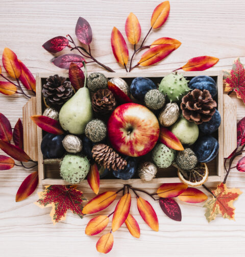 Frutti d’autunno in cucina: pulizia e conservazione di frutta e verdura