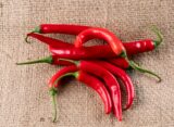 Mangiare piccante fa bene? tutto quello che devi sapere