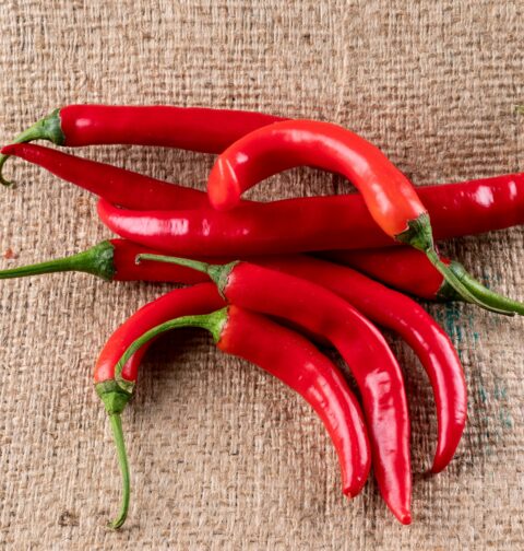Mangiare piccante fa bene? tutto quello che devi sapere