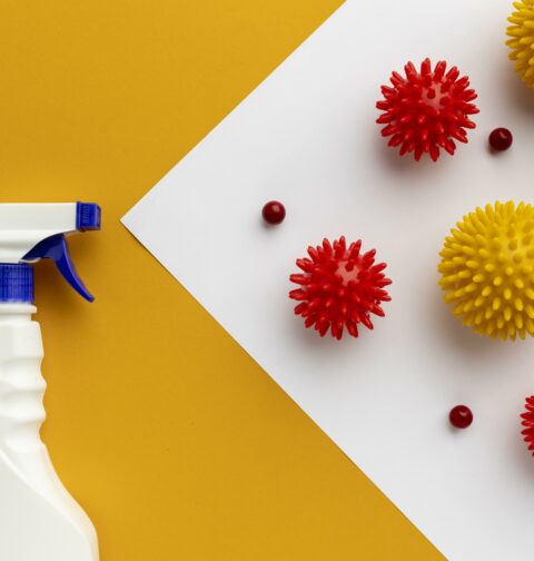 Sgrassatori versatili: come usare un potente alleato della pulizia in tutto l’appartamento