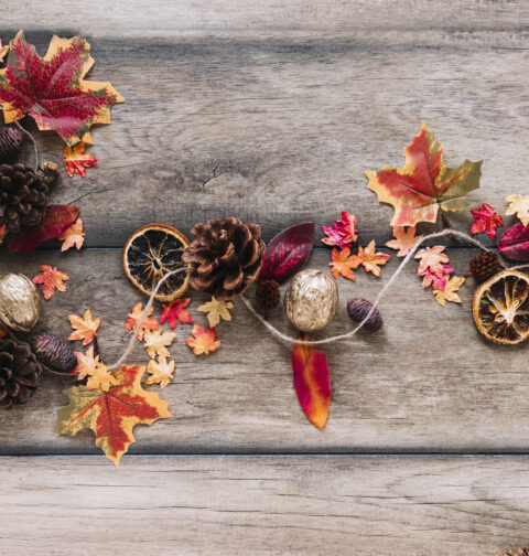 Decorazioni naturali d’autunno: come usare foglie e frutti per una casa accogliente